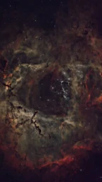 Rosette Nebula (NGC 2237) deep sky astrophotography showing the dark central cavity surrounded by glowing hydrogen gas in the Monoceros constellation.