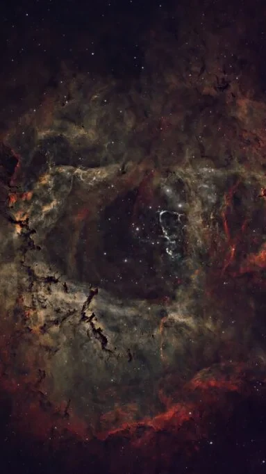 Rosette Nebula (NGC 2237) deep sky astrophotography showing the dark central cavity surrounded by glowing hydrogen gas in the Monoceros constellation.