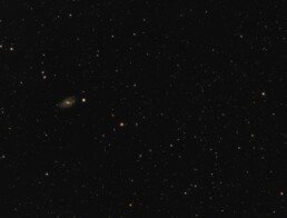 M109